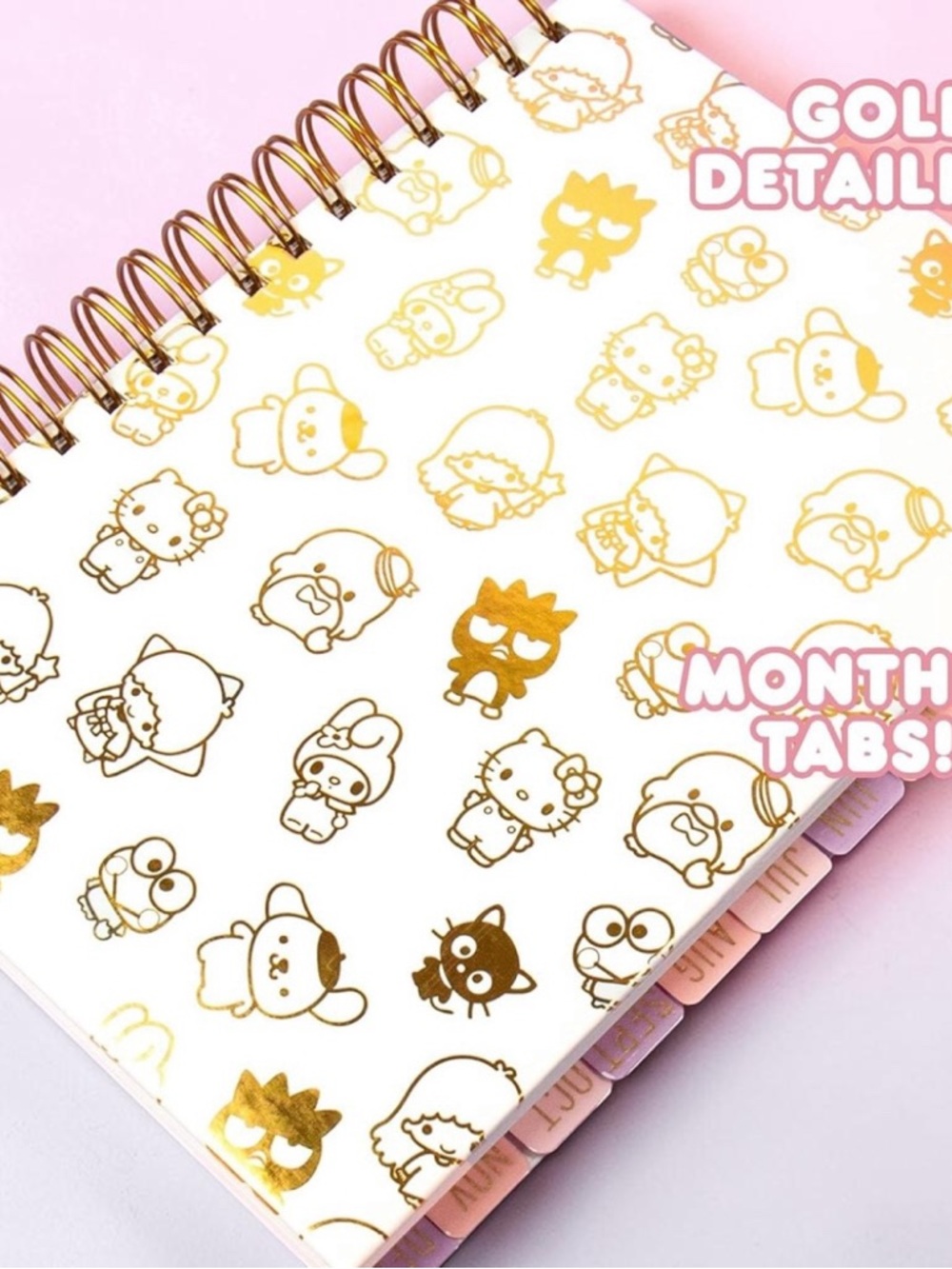 Hello Kitty & Friends Planner with Gold Foil Character Accents